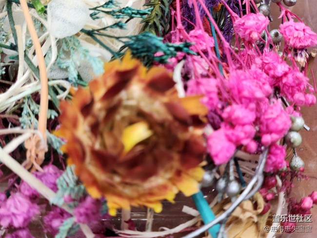 【团扇摄影活动】+制作材料