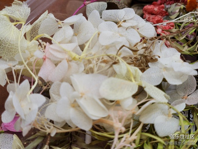 【团扇摄影活动】+制作材料