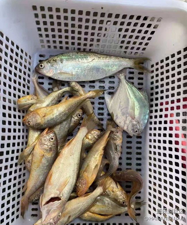 【欢乐一刻】出海