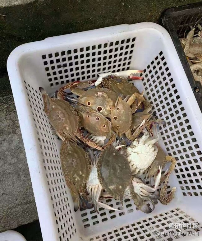 【欢乐一刻】出海