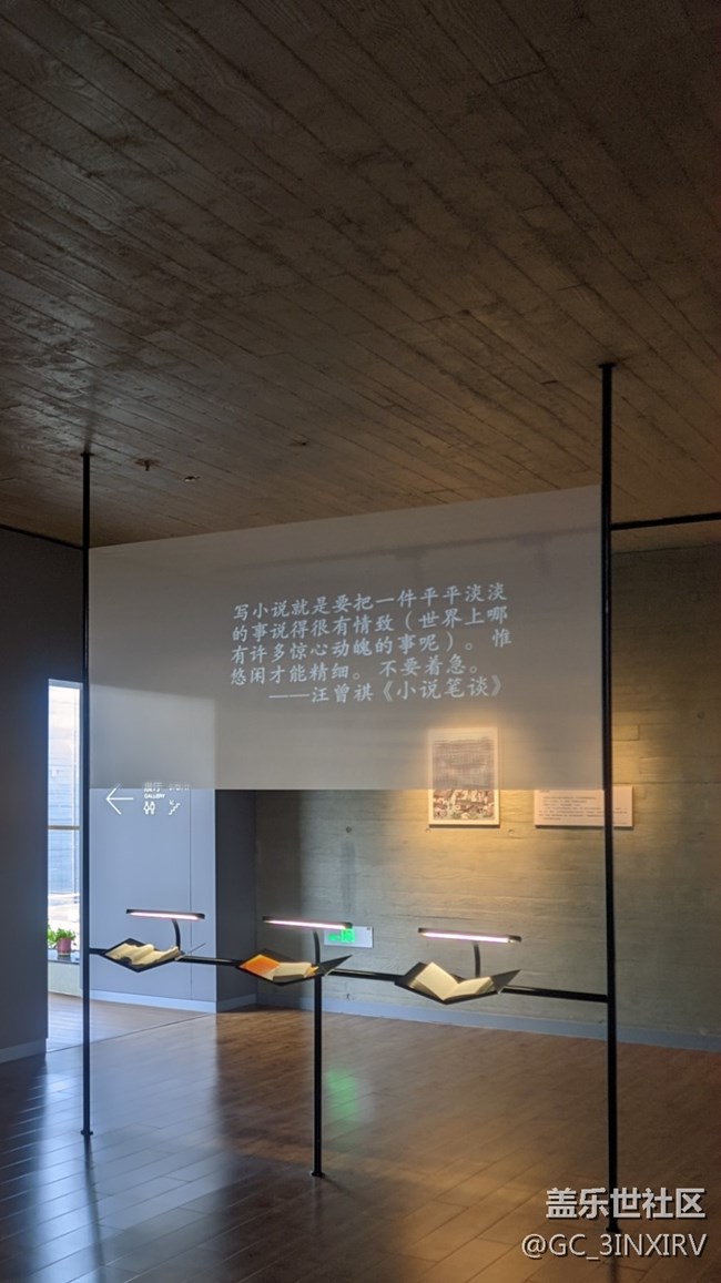 黑与白