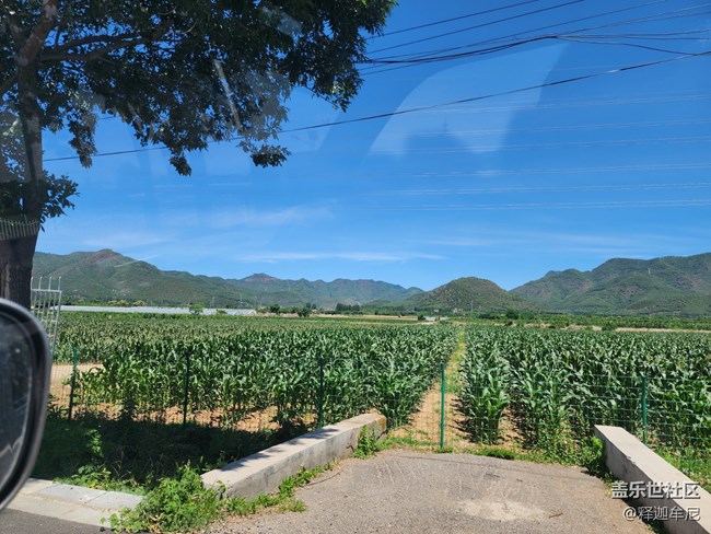 【拥抱自然】公路两侧的风景
