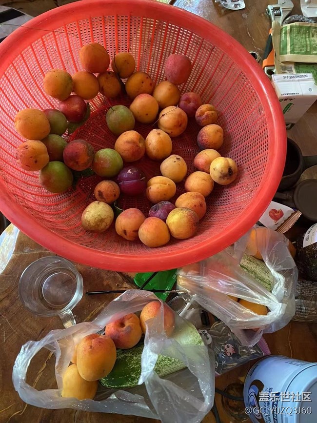 【夏日果实】夏季水果