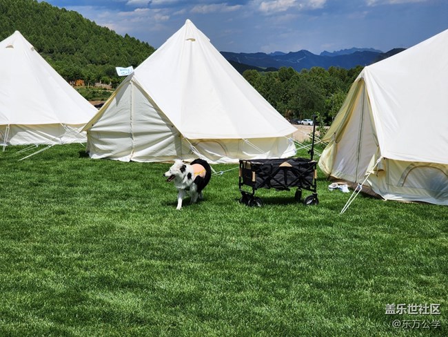 【拥抱自然】忙里偷闲拥抱自然