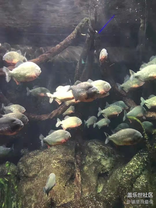 【欢乐一刻】海洋馆