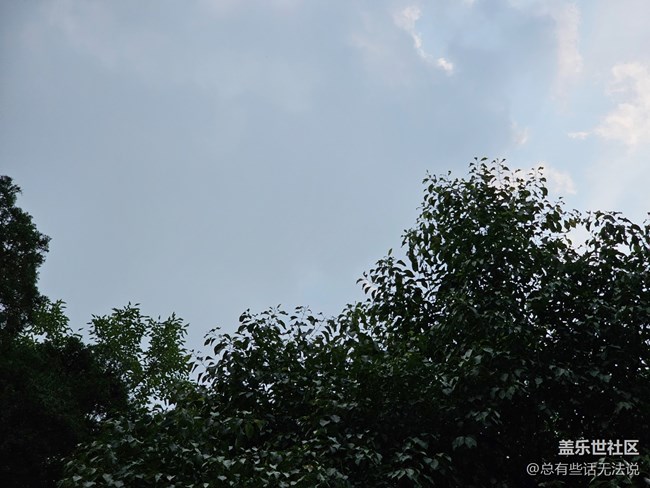 【珍贵的一天】拍拍花花草草树树