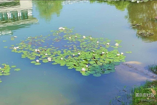 【夏日武汉】日常