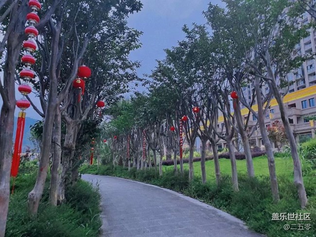#欢乐时光——邂逅紫色