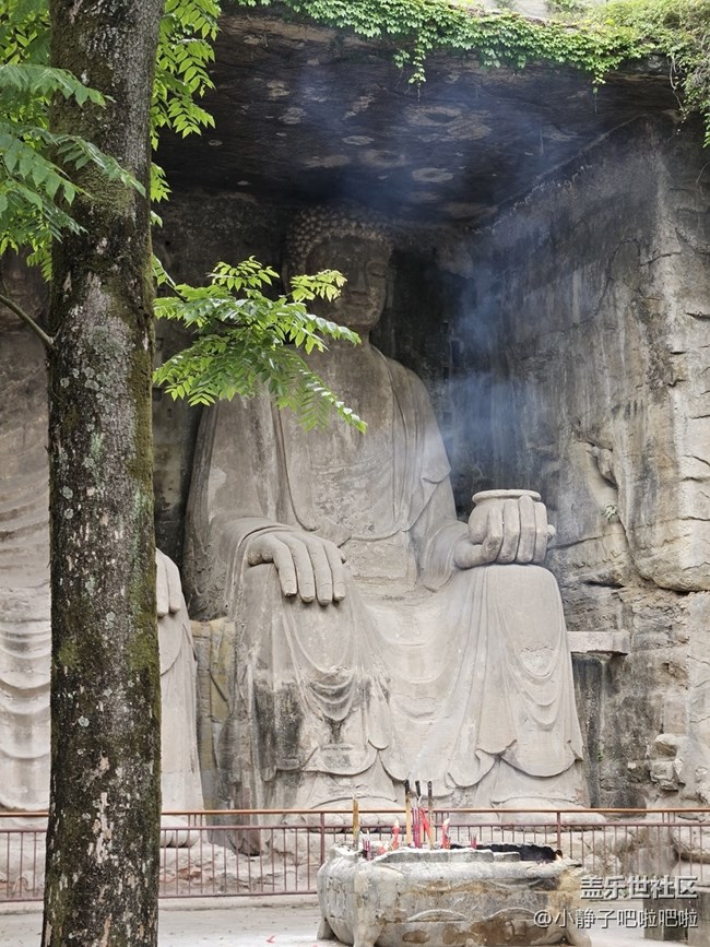 【夏天去撒野】我想说长焦YYDS 夏天带它走进自然