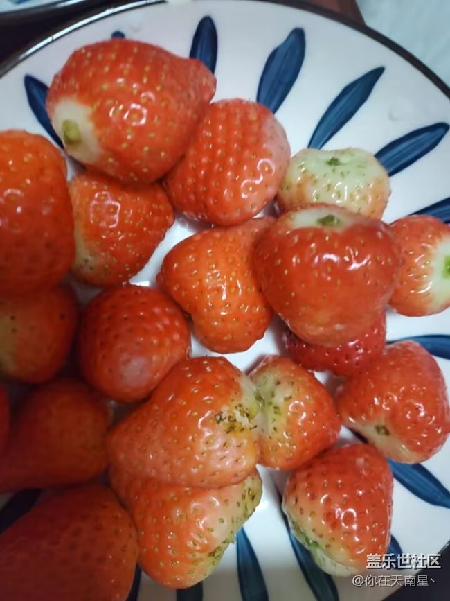 【夏日果实】+最爱的西瓜