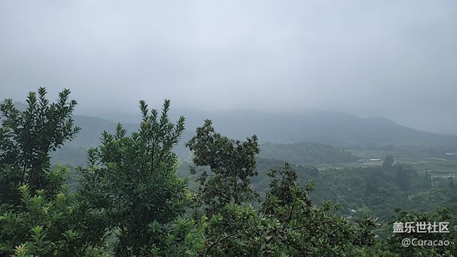 【618杨梅采摘乐】这次活动yyds