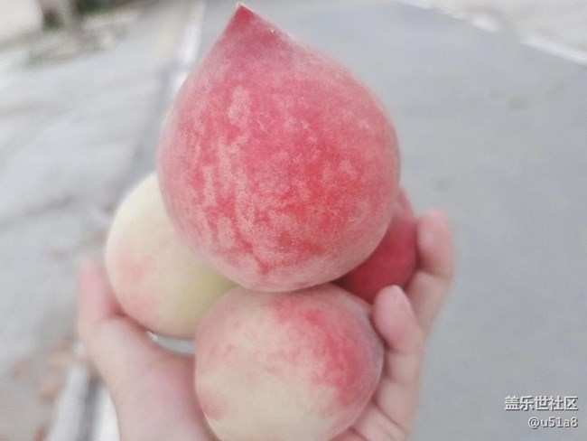 【夏日果实】水蜜桃