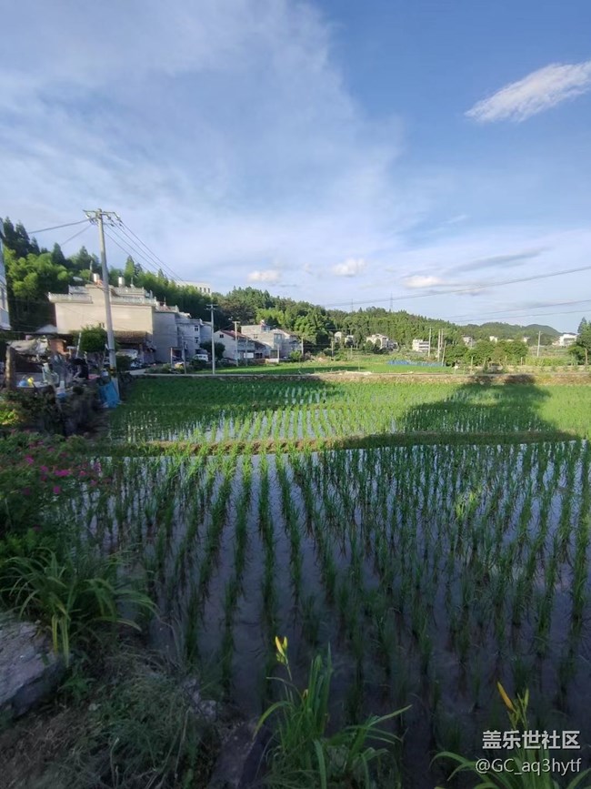 【夏日果实】各种果实