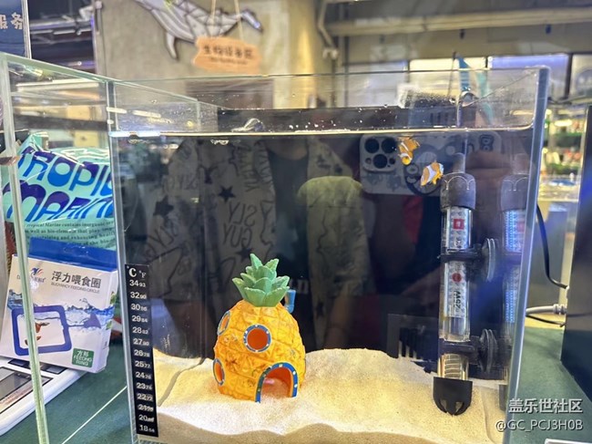 【用镜头将五彩缤纷定格】