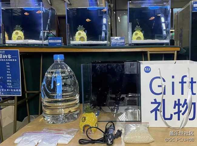 【用镜头将五彩缤纷定格】