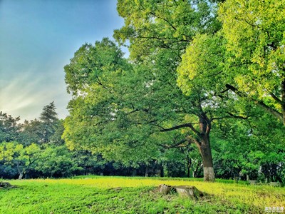 【镜头里的夏天】+美好生活记录 夏天