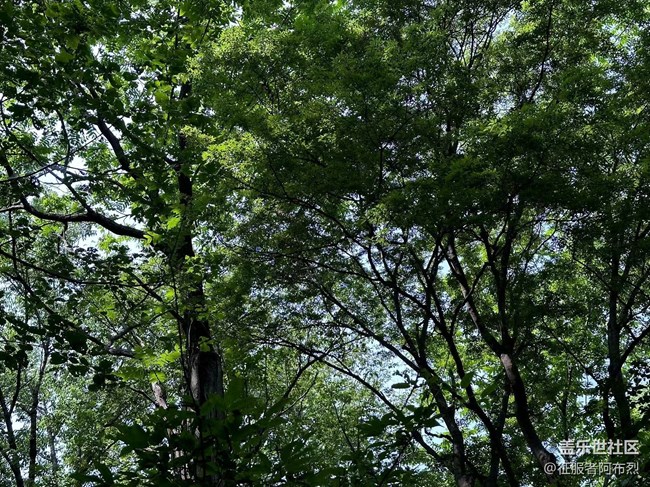 【金龙山徒步】+绿叶丛中一抹红