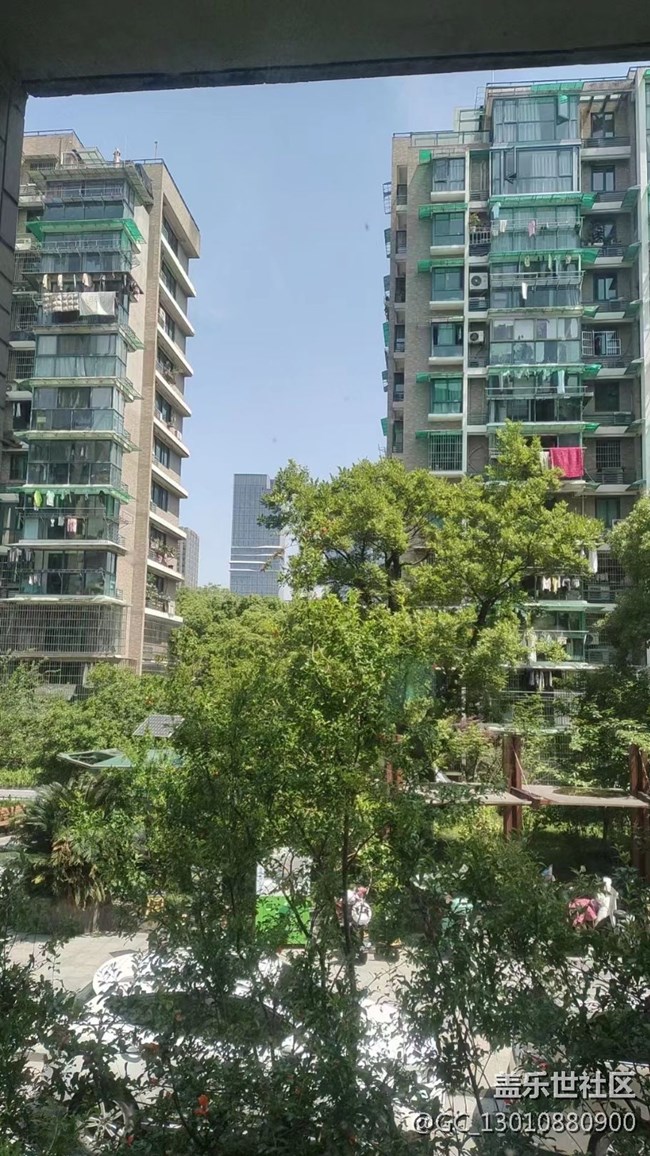【我拍了拍夏天】城市掠影