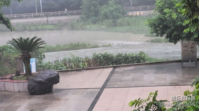 【我拍了拍夏天】雾气