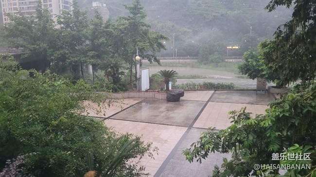 【我拍了拍夏天】雾气