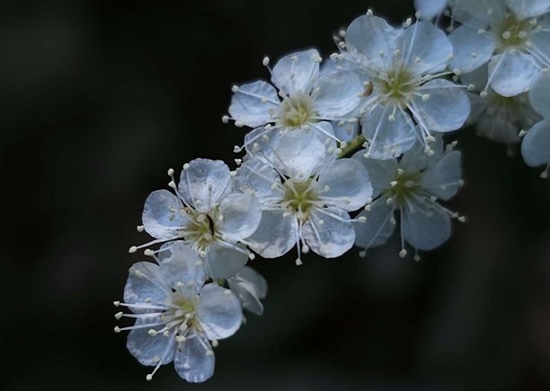 批注 2023-06-26 141348.jpg