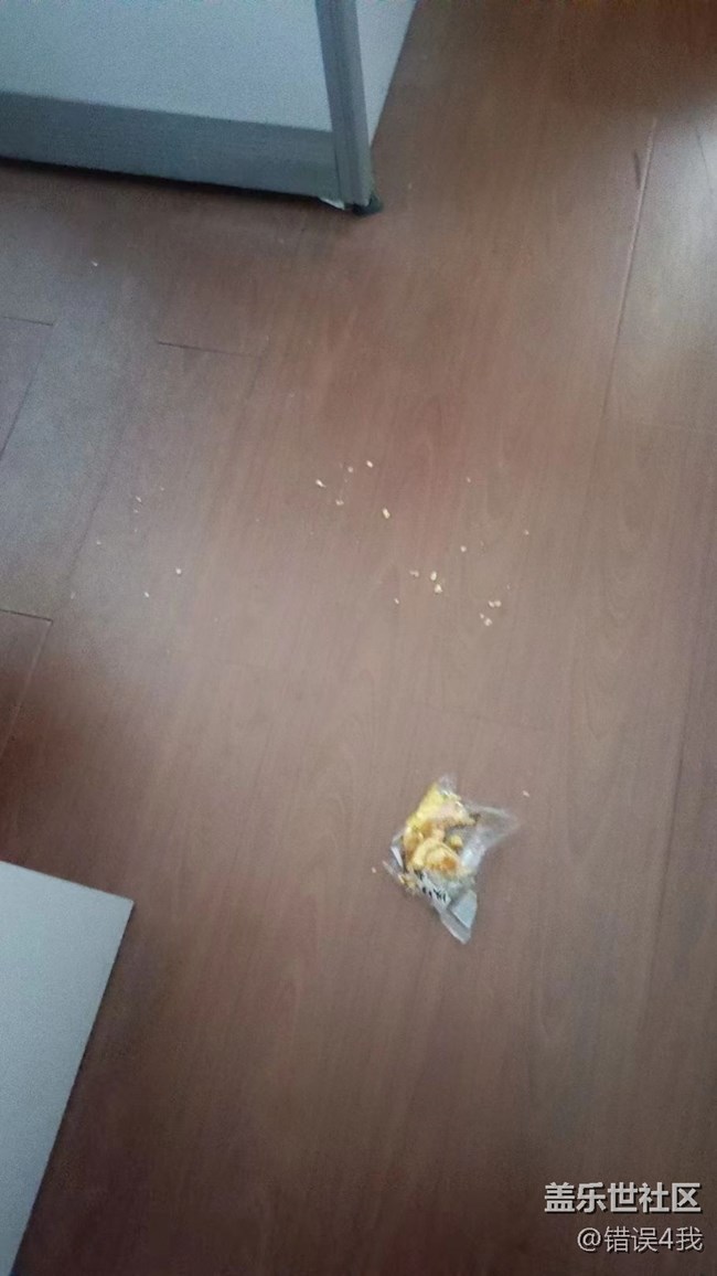 【我的毛孩子】小偷猫