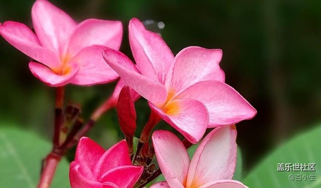 批注 2023-06-26 141348.jpg