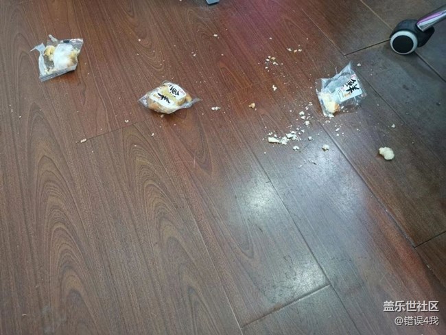 【我的毛孩子】小偷猫