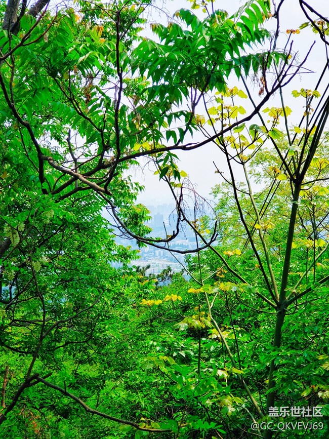 【沿途美景】+丛林深处
