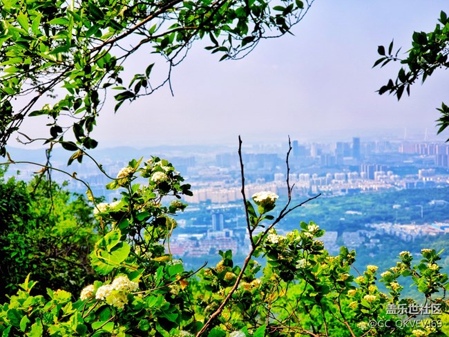【沿途美景】+丛林深处