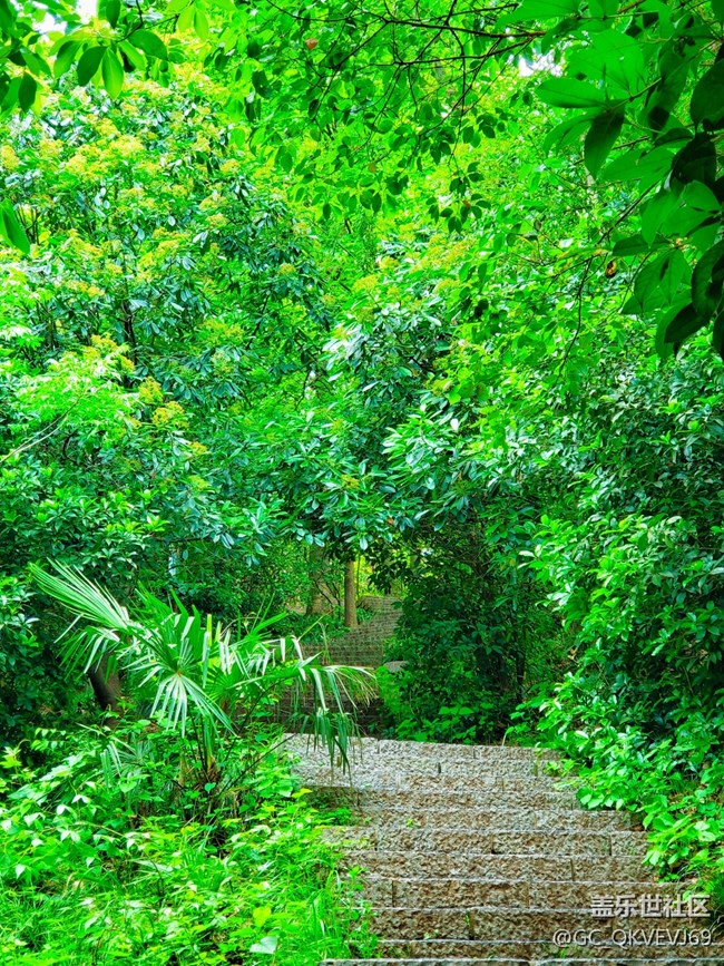 【沿途美景】+丛林深处