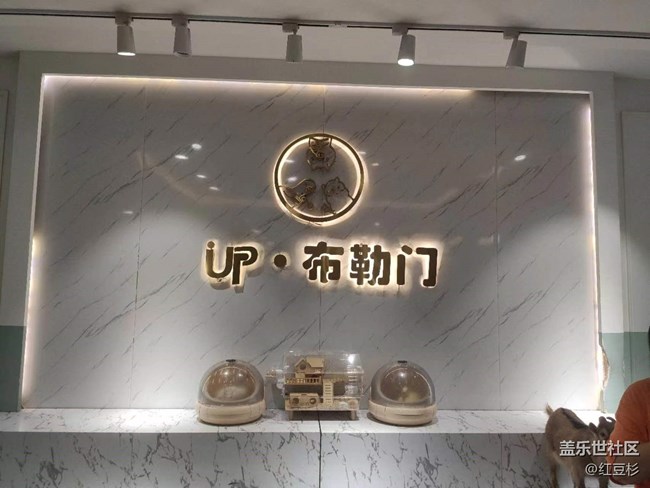端午撸动物观影活动回顾贴