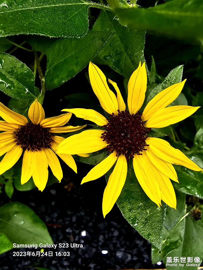 《精品大咖秀》 第四期: 上半年和下半年