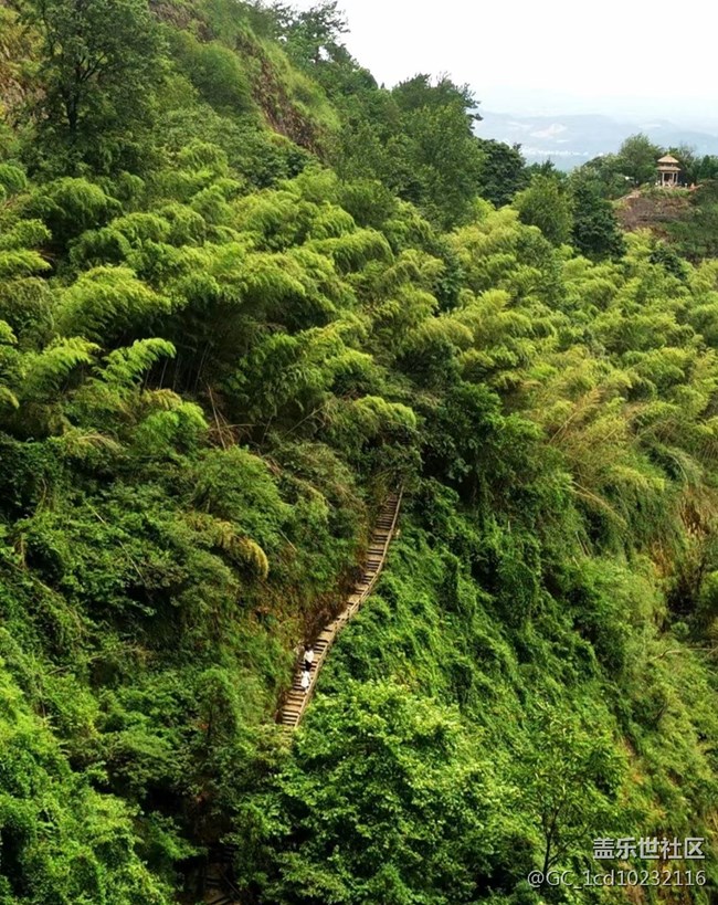【我拍了拍夏天】旅旅游