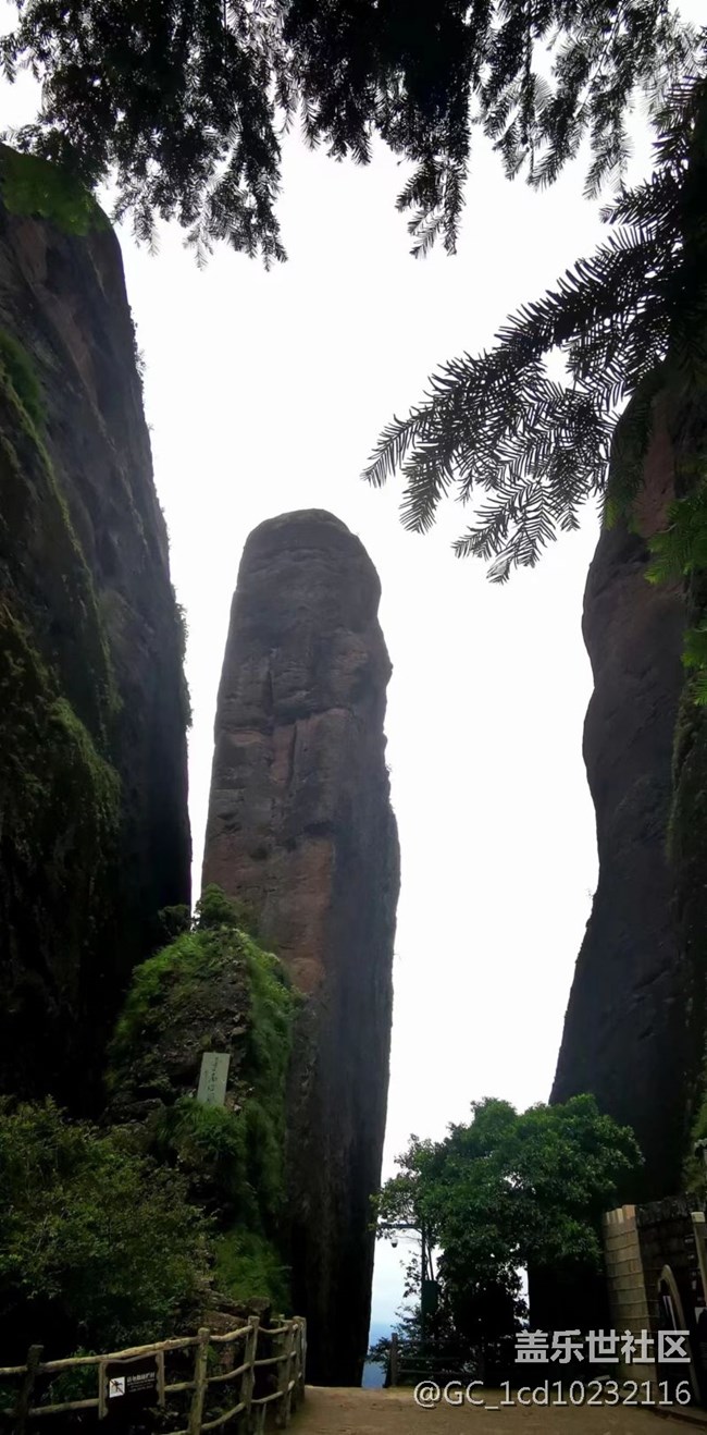 【我拍了拍夏天】旅旅游