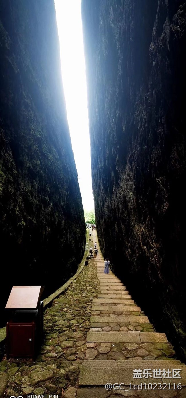 【我拍了拍夏天】旅旅游