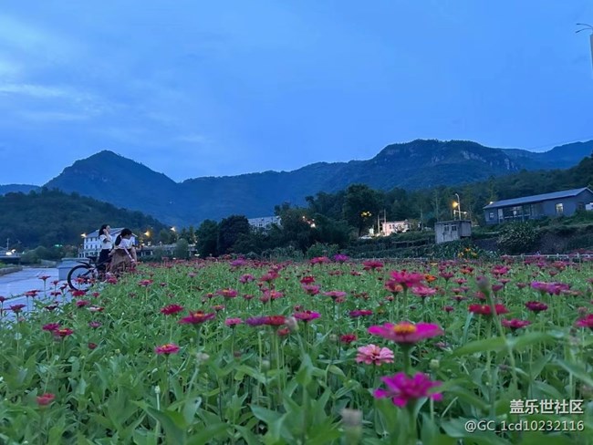 【夏日色彩】周边逛逛