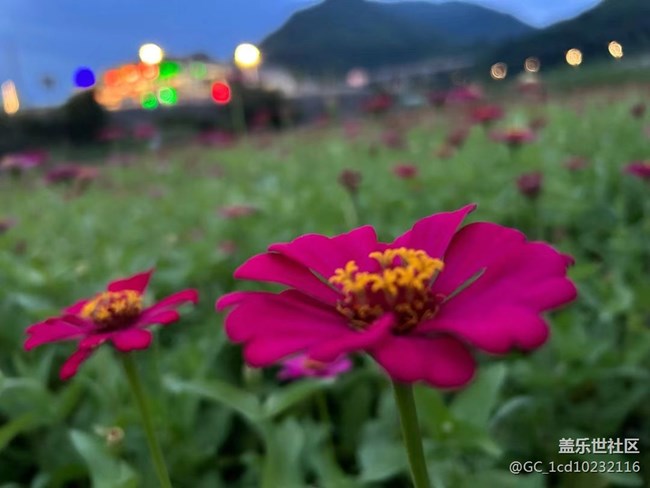 【夏日色彩】周边逛逛