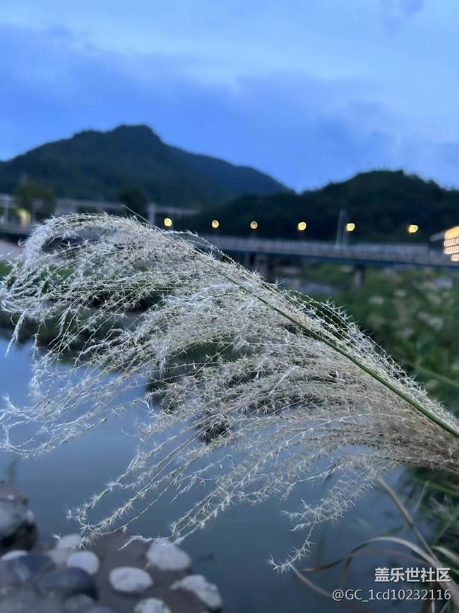 【夏日色彩】周边逛逛
