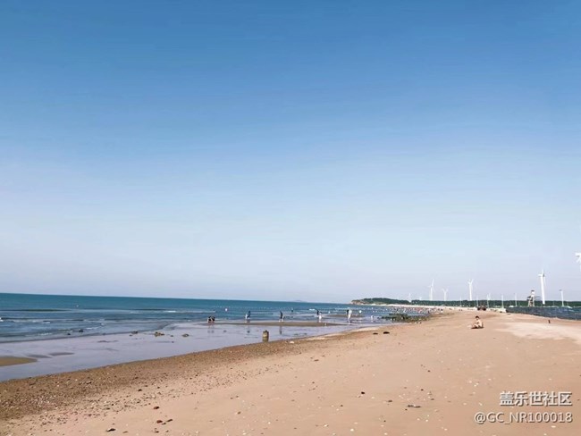 【记忆中的夏天】赶海