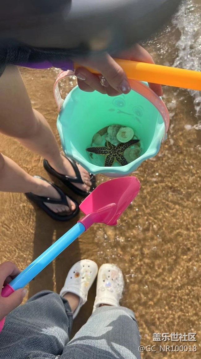 【记忆中的夏天】赶海