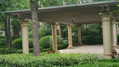 【镜头里的夏天】+夏天的绿色