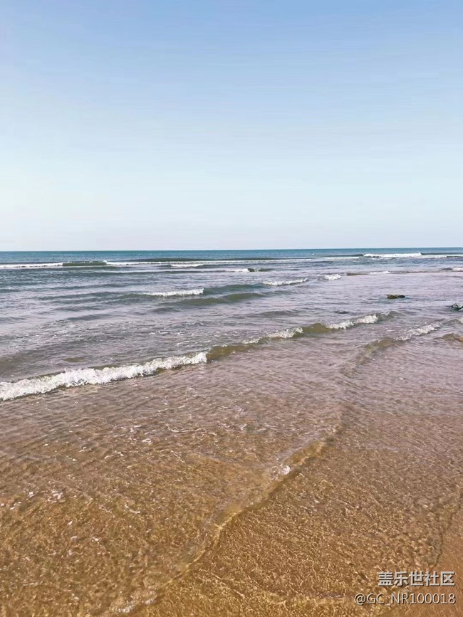 【记忆中的夏天】赶海