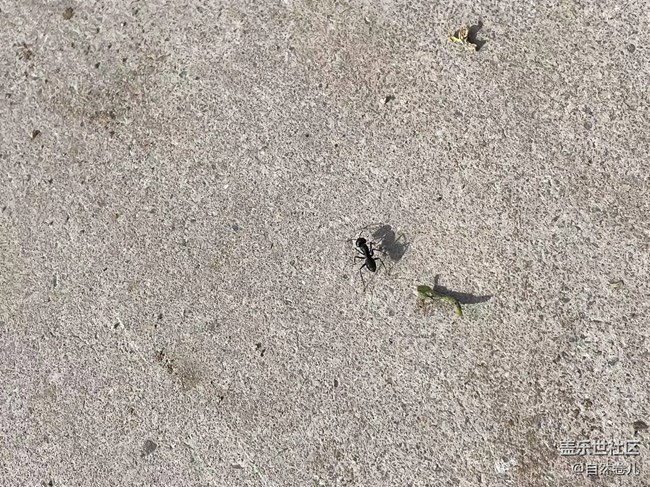 【记忆中的夏天】“消失”的童年