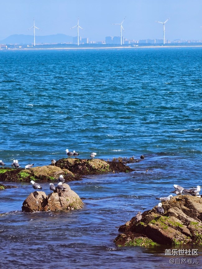 【火热的夏天】海边的热浪