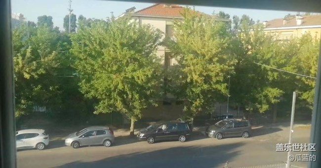 【我拍了拍夏天】漂亮的花