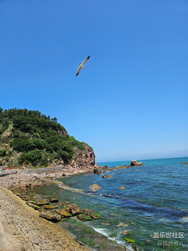 【火热的夏天】海边的热浪