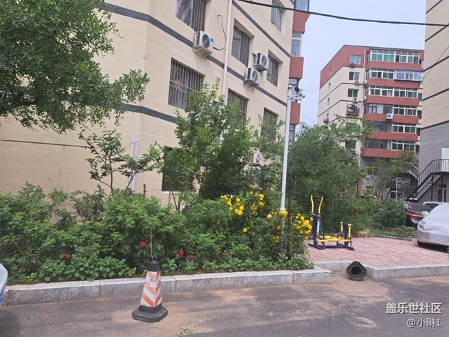 【阳光照耀的地方】绿意盎然