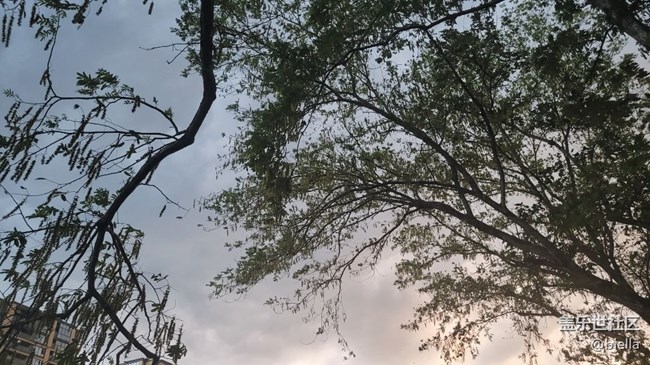 【记忆中的夏天】期待下雨
