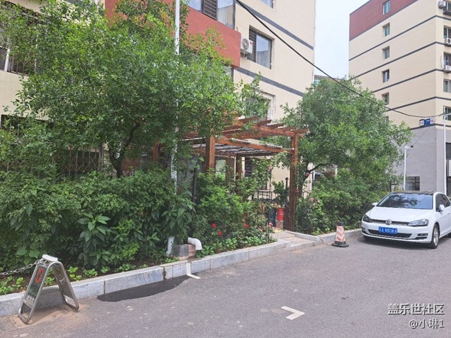 【阳光照耀的地方】绿意盎然